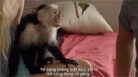 [Vietsub] Khỉ Dơi Ăn Thịt Người (Flying Monkeys)