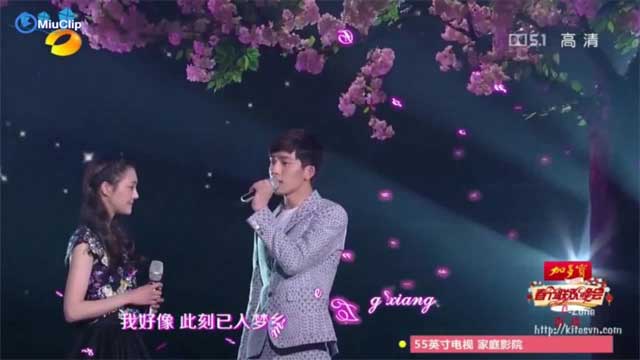 [Vietsub] Không Thể Quên - Trịnh Sảng ft Tỉnh Bách Nhiên