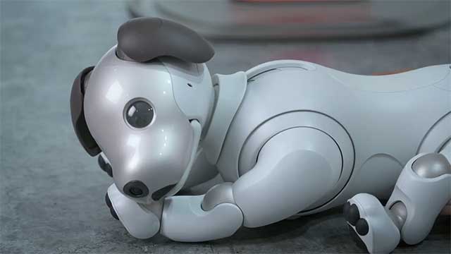 Trên tay chú chó Aibo của Sony