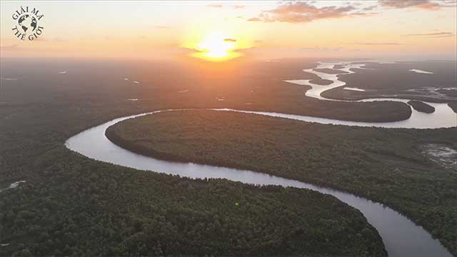 Thứ gì trong rừng Amazon khiến con người phải dừng lại?